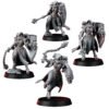 DIVINE ORDER SHIELDMAIDEN BUNDLE V2