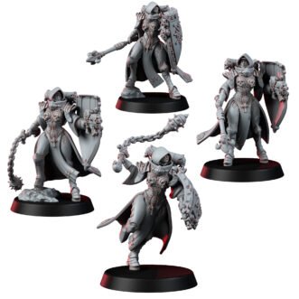 DIVINE ORDER SHIELDMAIDEN BUNDLE V2