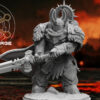 KNIGHTS TEMPLAR AEGIS CAPTAIN