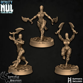 DYNASTY OF NUL DYNASTY FLAYMAIDEN NECROVESSELS