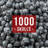 HUMAN JAWLESS SKULLS (1000U)