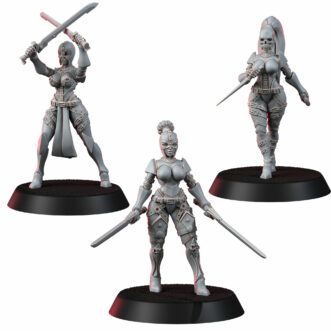 INQUISITION ANIME ASSASINS