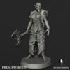 CURSED ELVES WARRIOR ACOLYTE