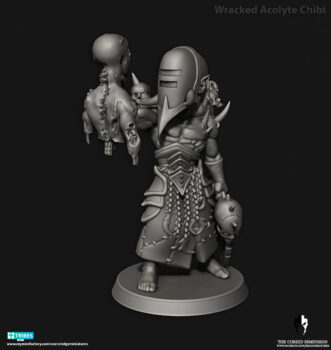 CURSED ELVES WRACKED WARRIOR ACOLYTE CHIBI