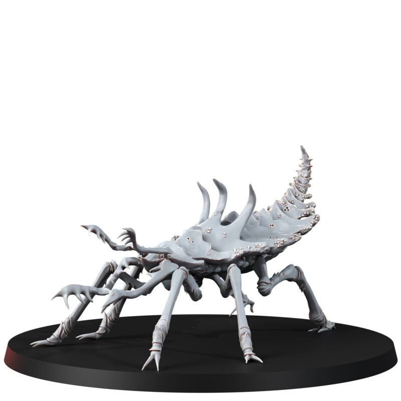 THE ERROISH TRIBE - SAND SPRINTER MALE