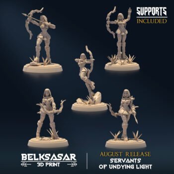 SERVANTS OF UNDYING LIGHT - SENTINELS