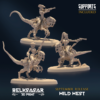 WILD WEST - OUTLAW OF DESERT