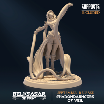 SHADOWDARNCERS OF VEIL - ASSASSIN V4 (NSFW)